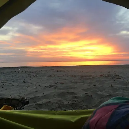 Serenity Pachino
